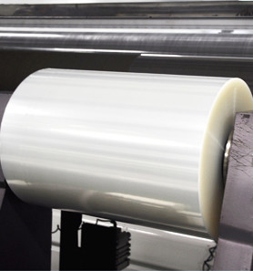 Forming Bottom Plastic Food Packaging Thermoforming Film Casting Sausage