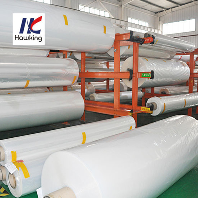 Co Extruded Film EVOH PA Material BPA Free Polyester Base Bottom Film
